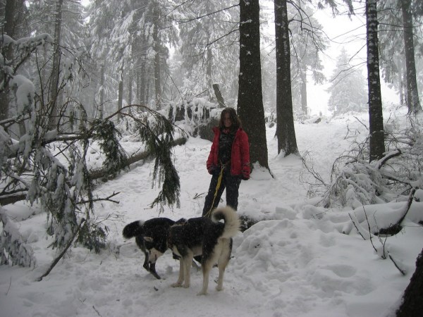 med_Schwarzwaldwinter.jpg (600 x 450)